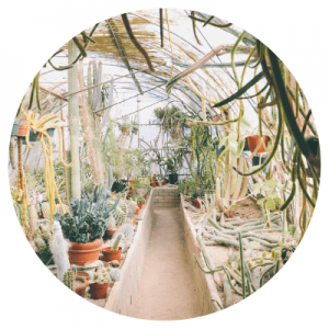 ingles-particular-curitiba